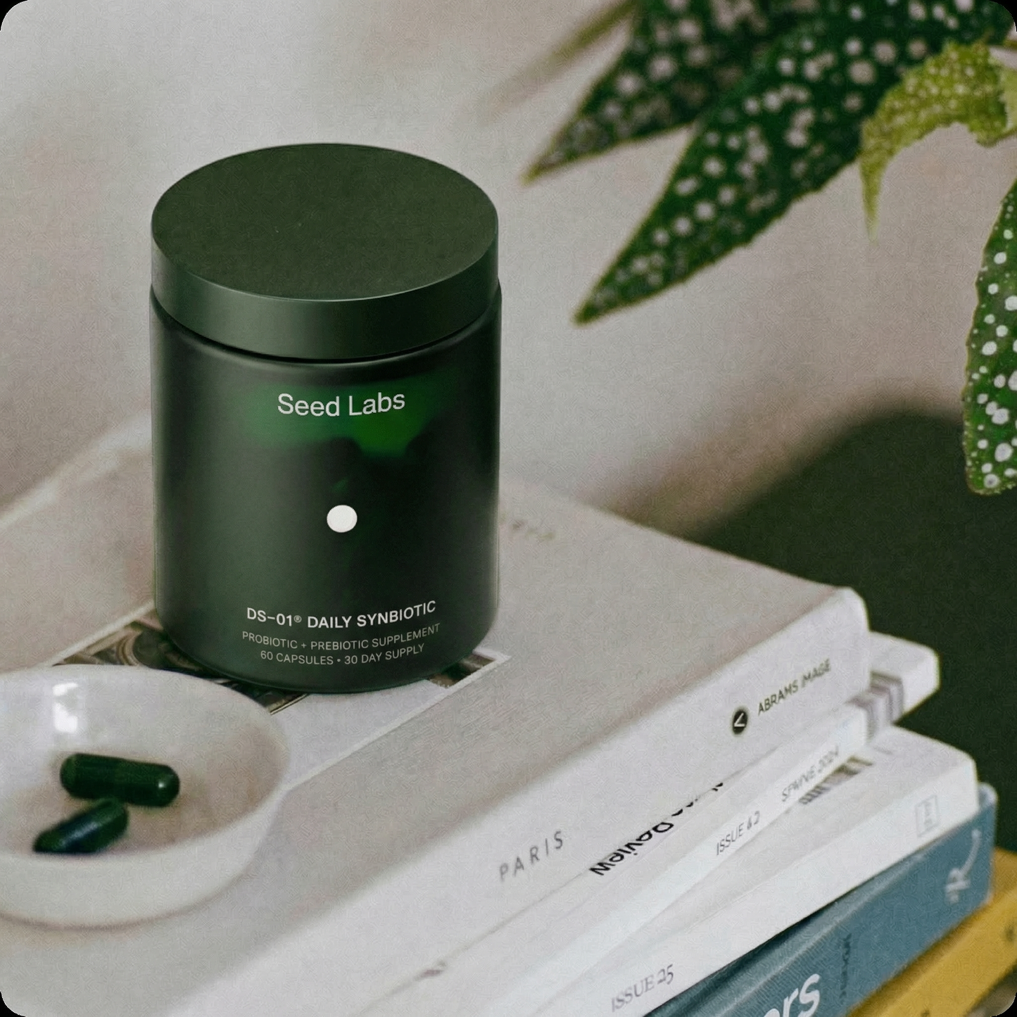 Daily Synbiotic