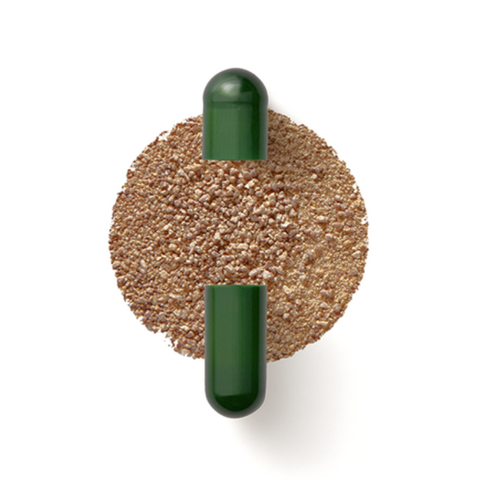 Daily Synbiotic